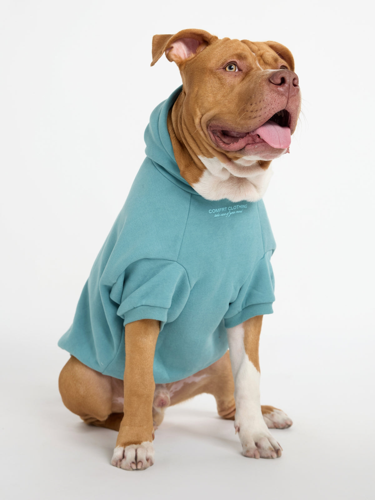 You Matter Paw Hoodie