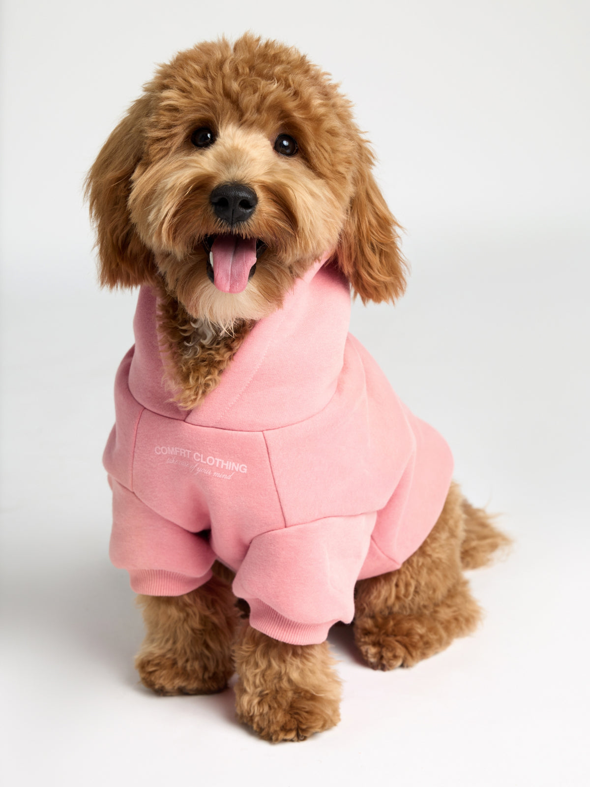 You Matter Paw Hoodie