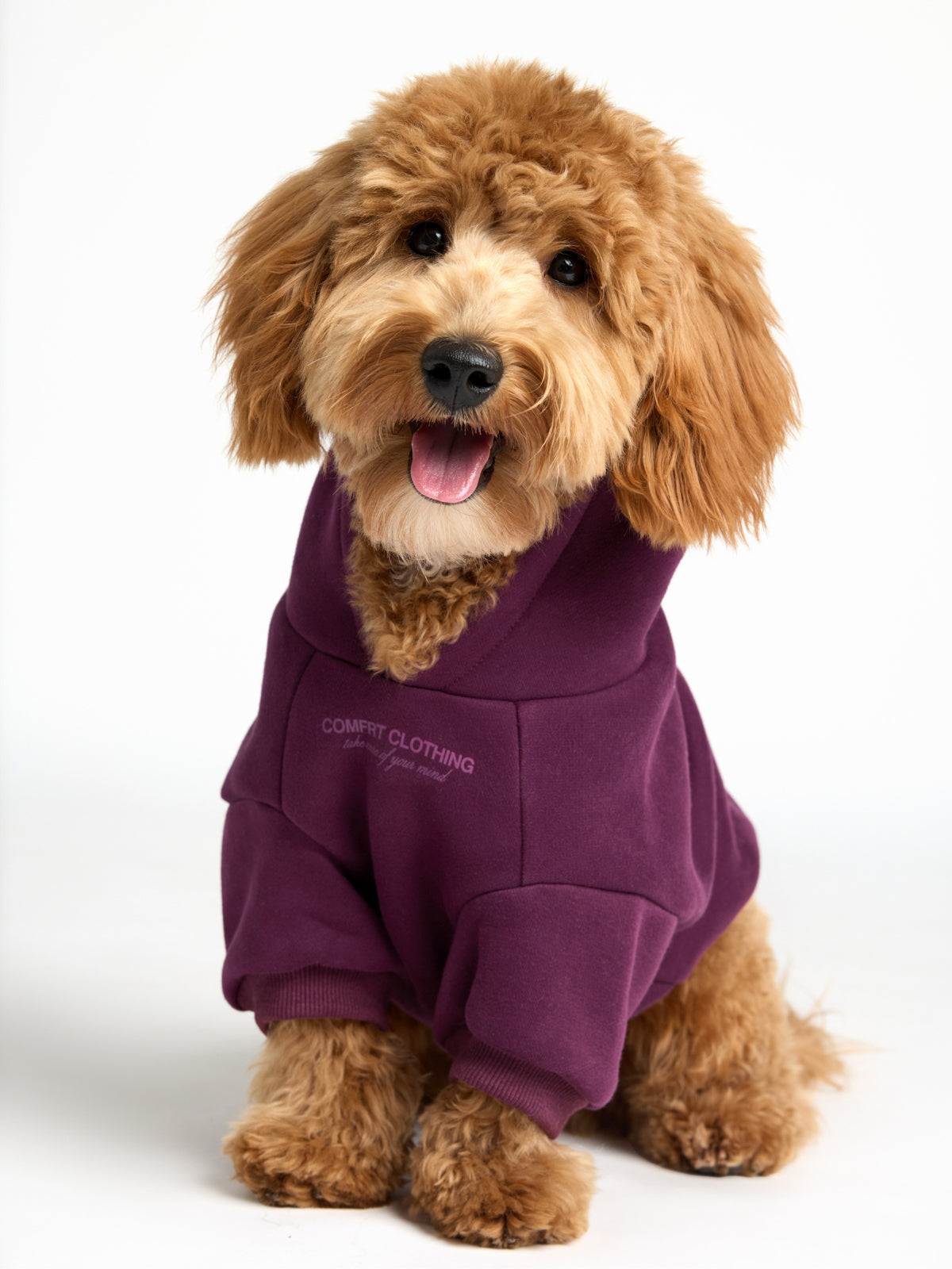 You Matter Paw Hoodie