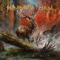 LP - Heaven Shall Burn - Heimat