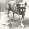 2LP - Alice In Chains - Alice In Chains
