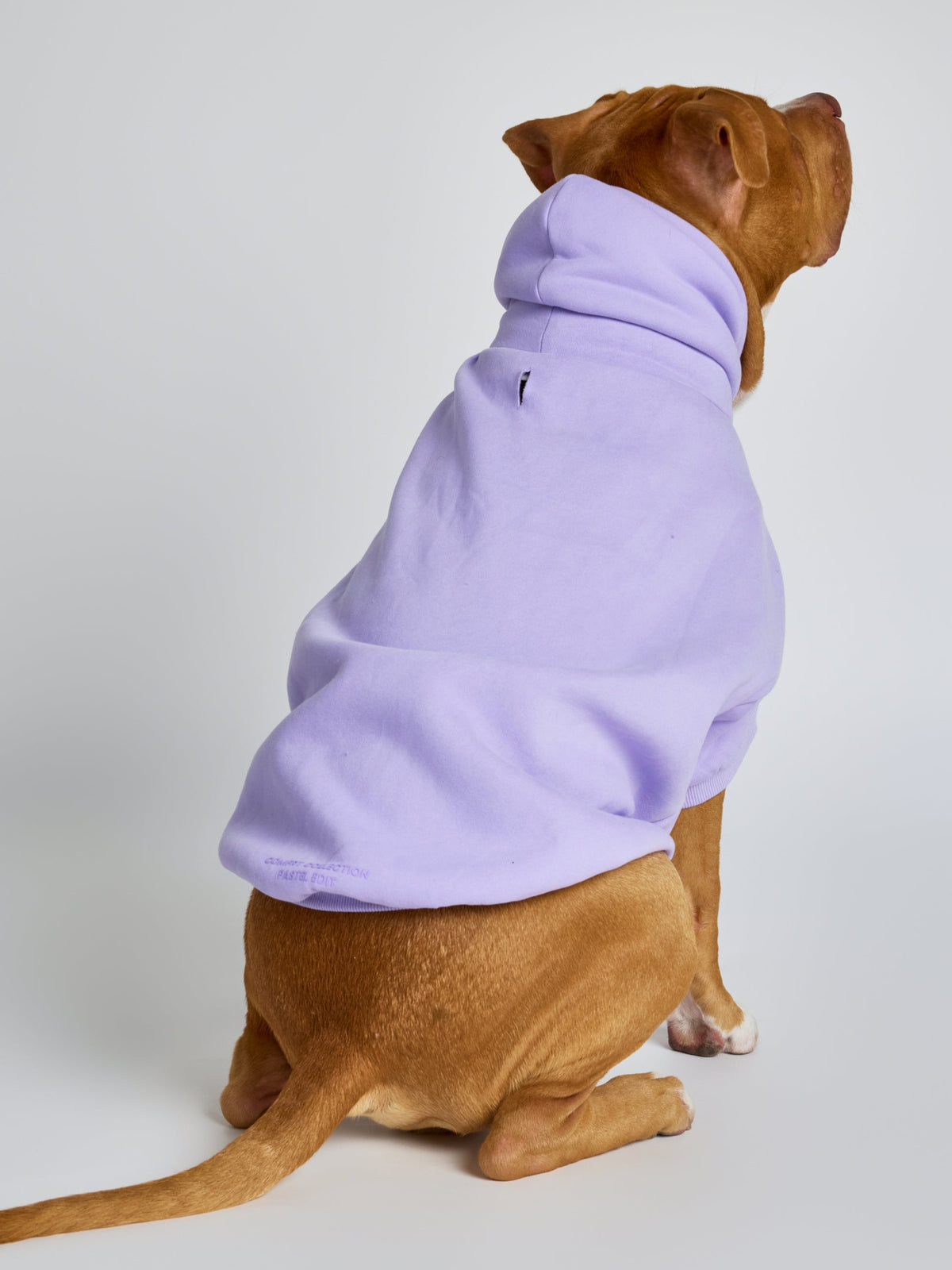 Pastel Paw Hoodie - Pre Order