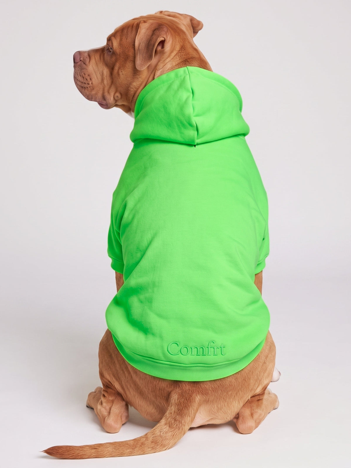 Neon Minimalist Paw Hoodie