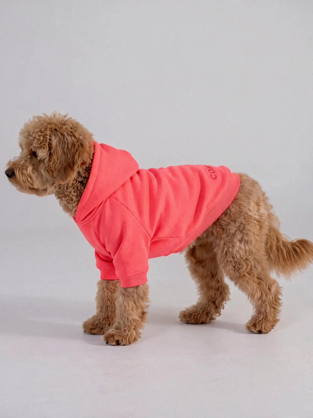 Neon Tranquil Paw Hoodie