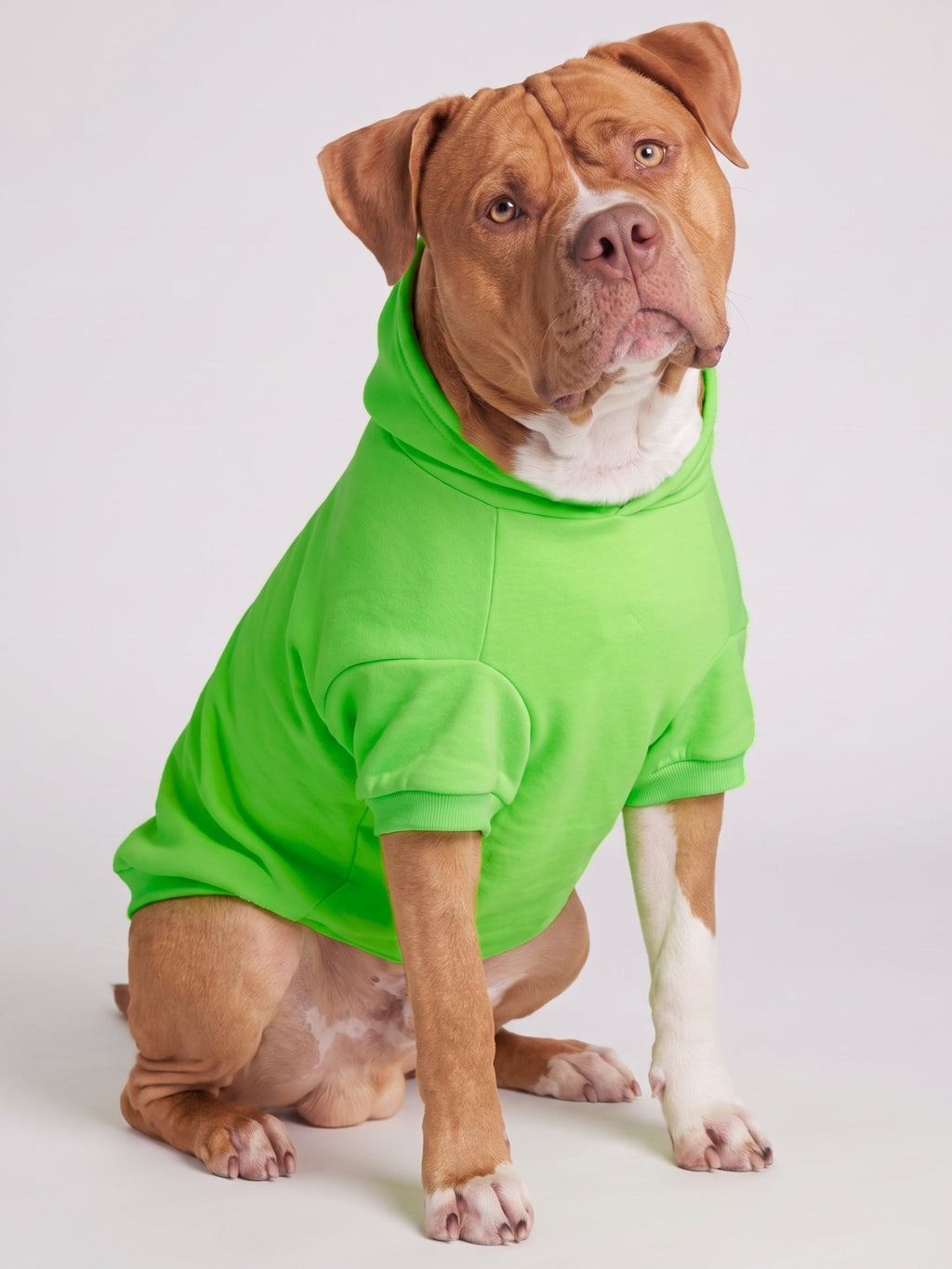 Neon Minimalist Paw Hoodie