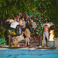 LP - Lambrini Girls - Who Let the Dogs Out