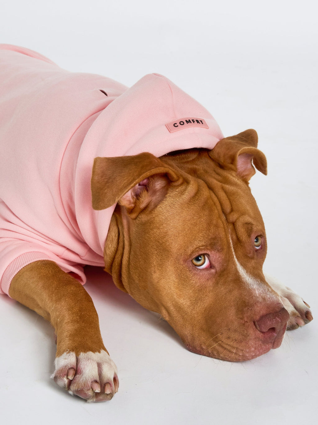 Pastel Paw Hoodie - Pre Order
