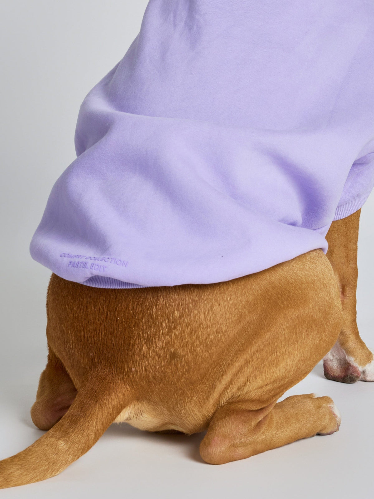 Pastel Paw Hoodie - Pre Order
