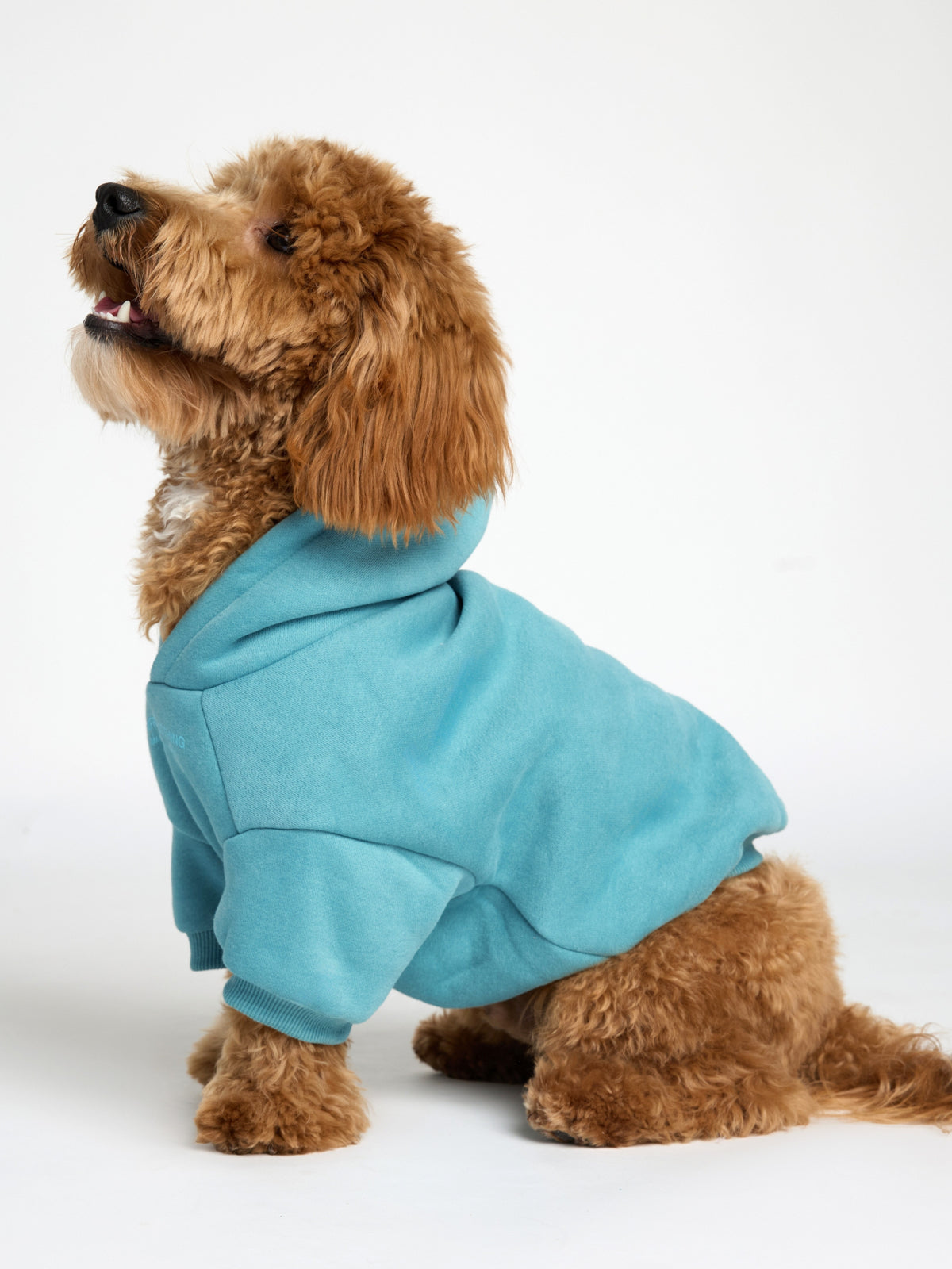 You Matter Paw Hoodie