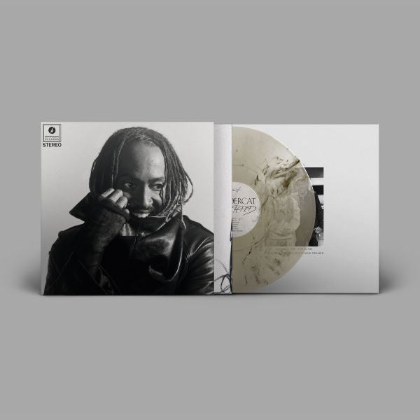 LP - Thundercat - Distracted