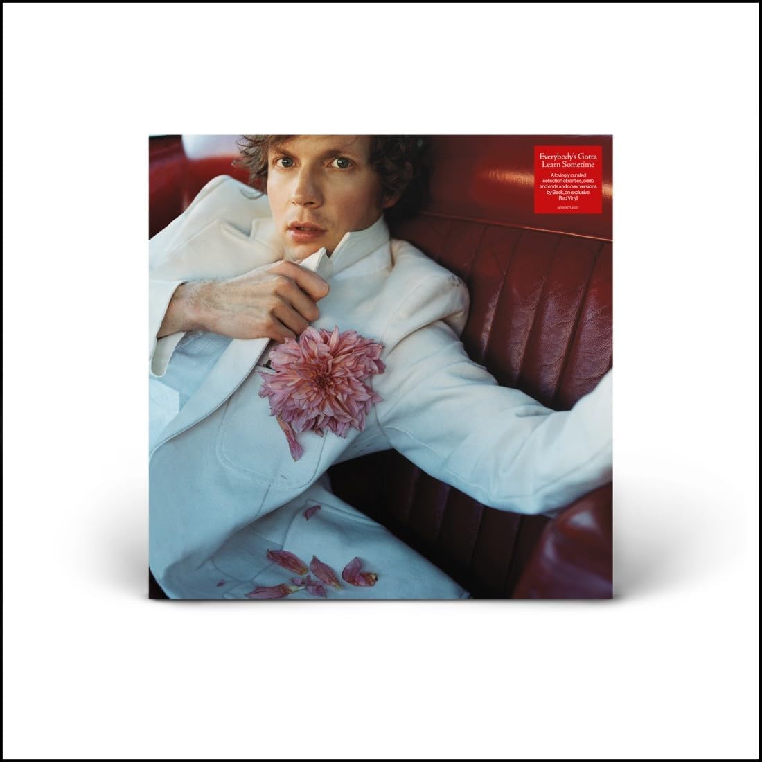 LP - Beck - Everybody’s Gotta Learn Sometime