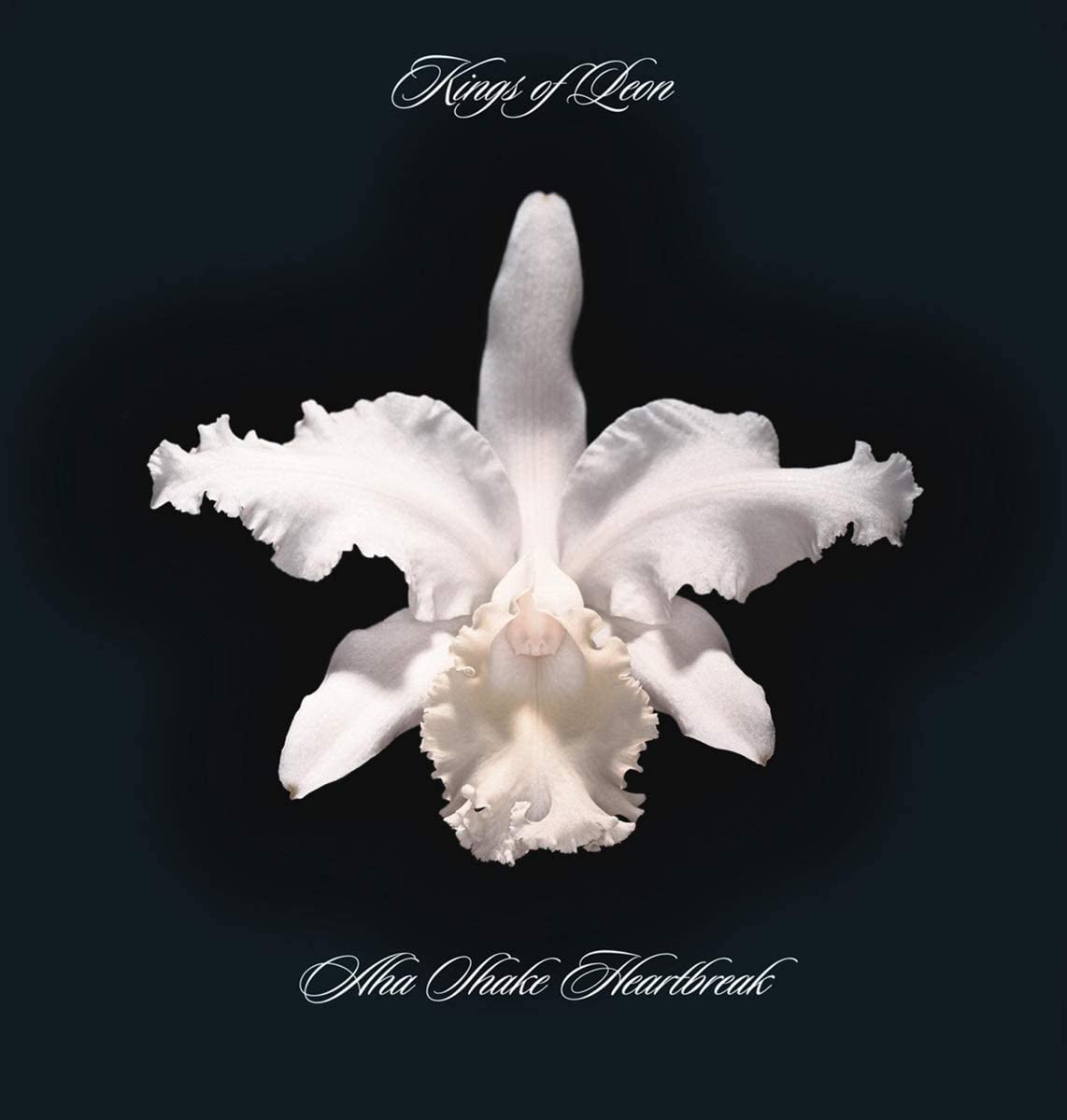 2LP - Kings of Leon - Aha Shake Heartbreak