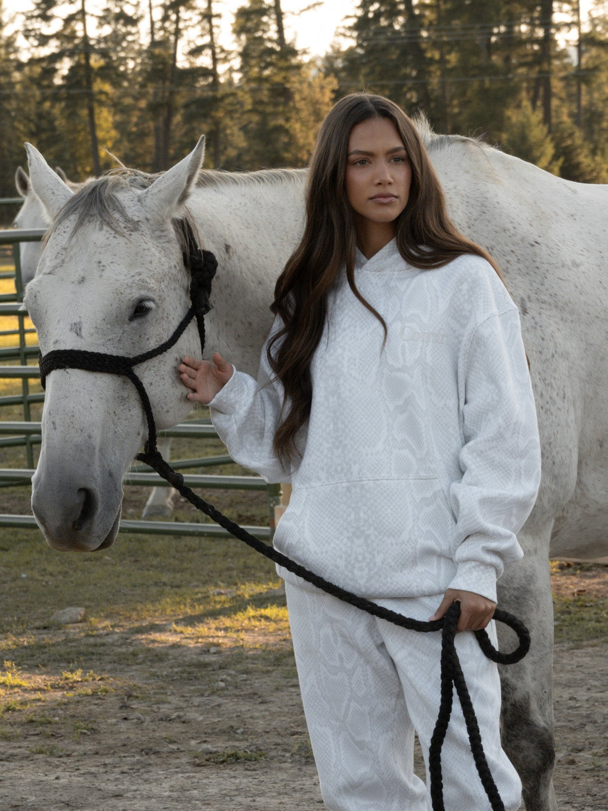 Minimalist Hoodie – Mega