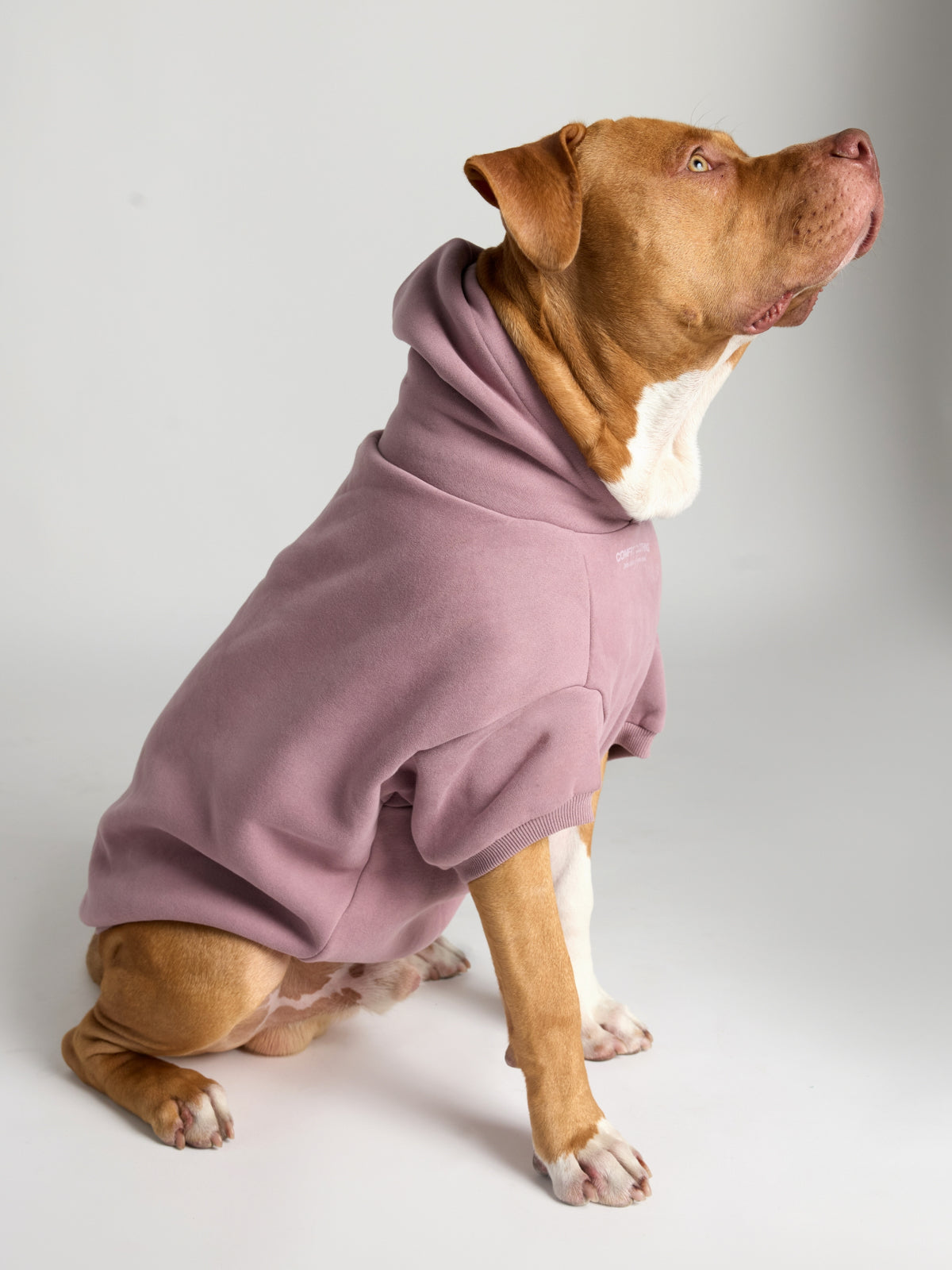 You Matter Paw Hoodie