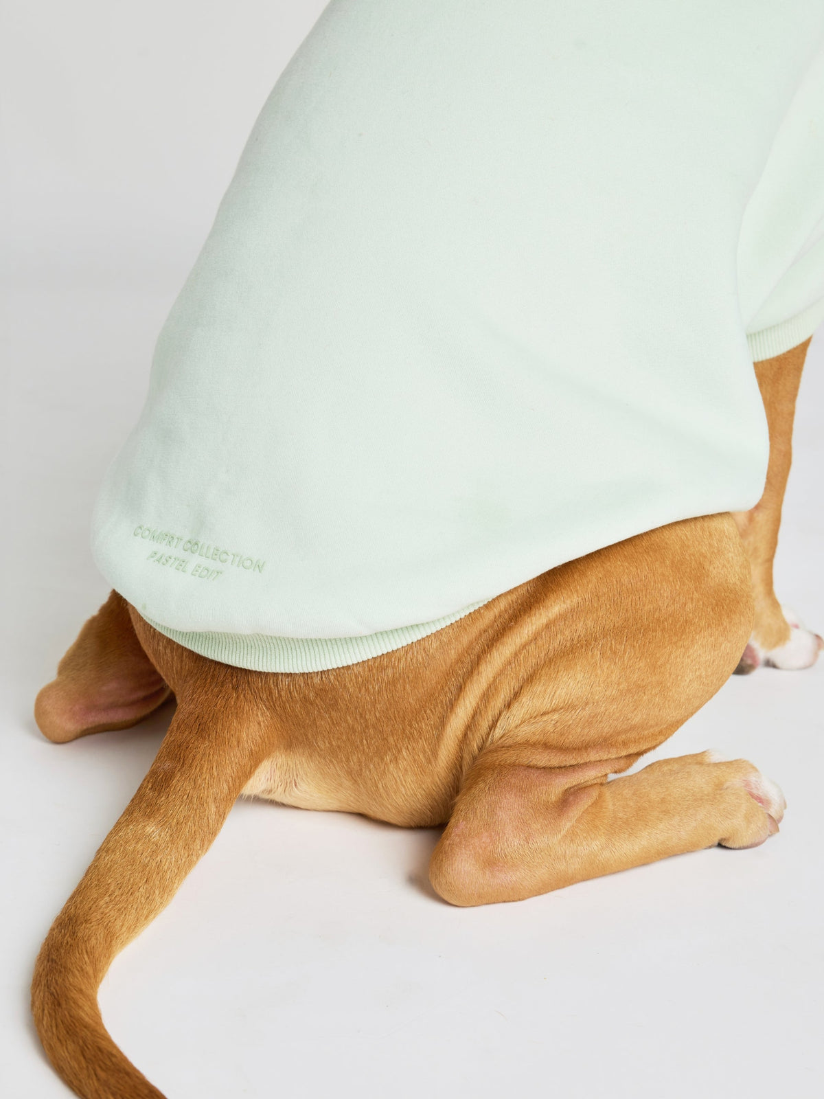 Pastel Paw Hoodie - Pre Order