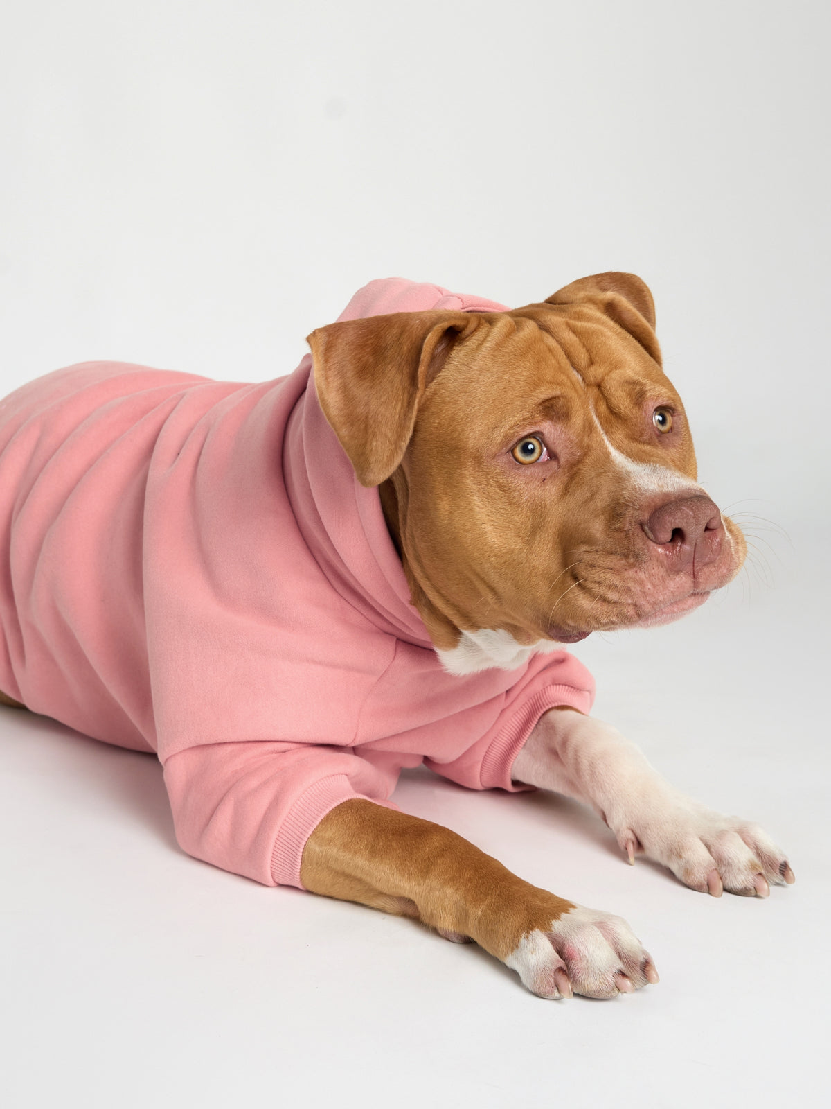 You Matter Paw Hoodie