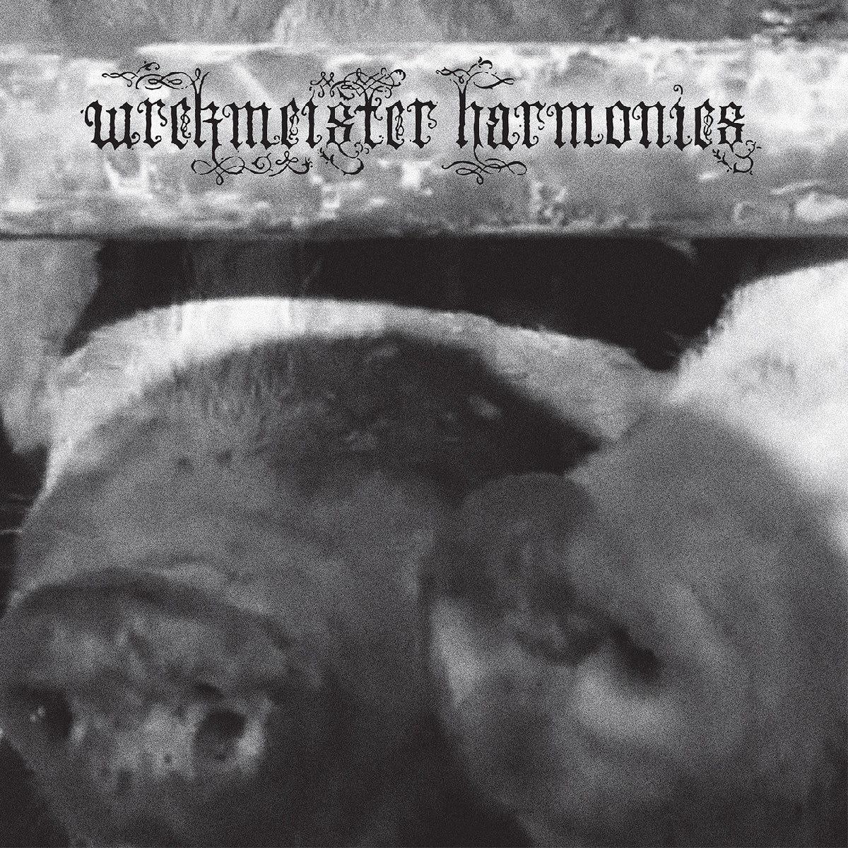 LP - Wrekmeister Harmonies - Flowers in the Spring