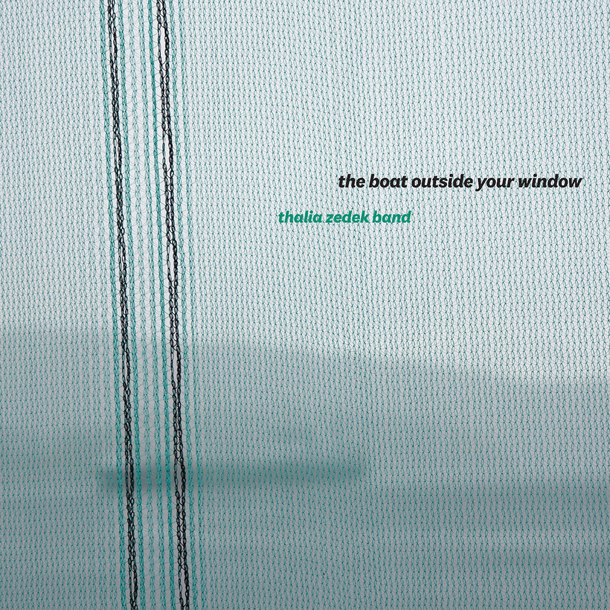 LP - Thalia Zedek Band - The Boat Outside Your Window