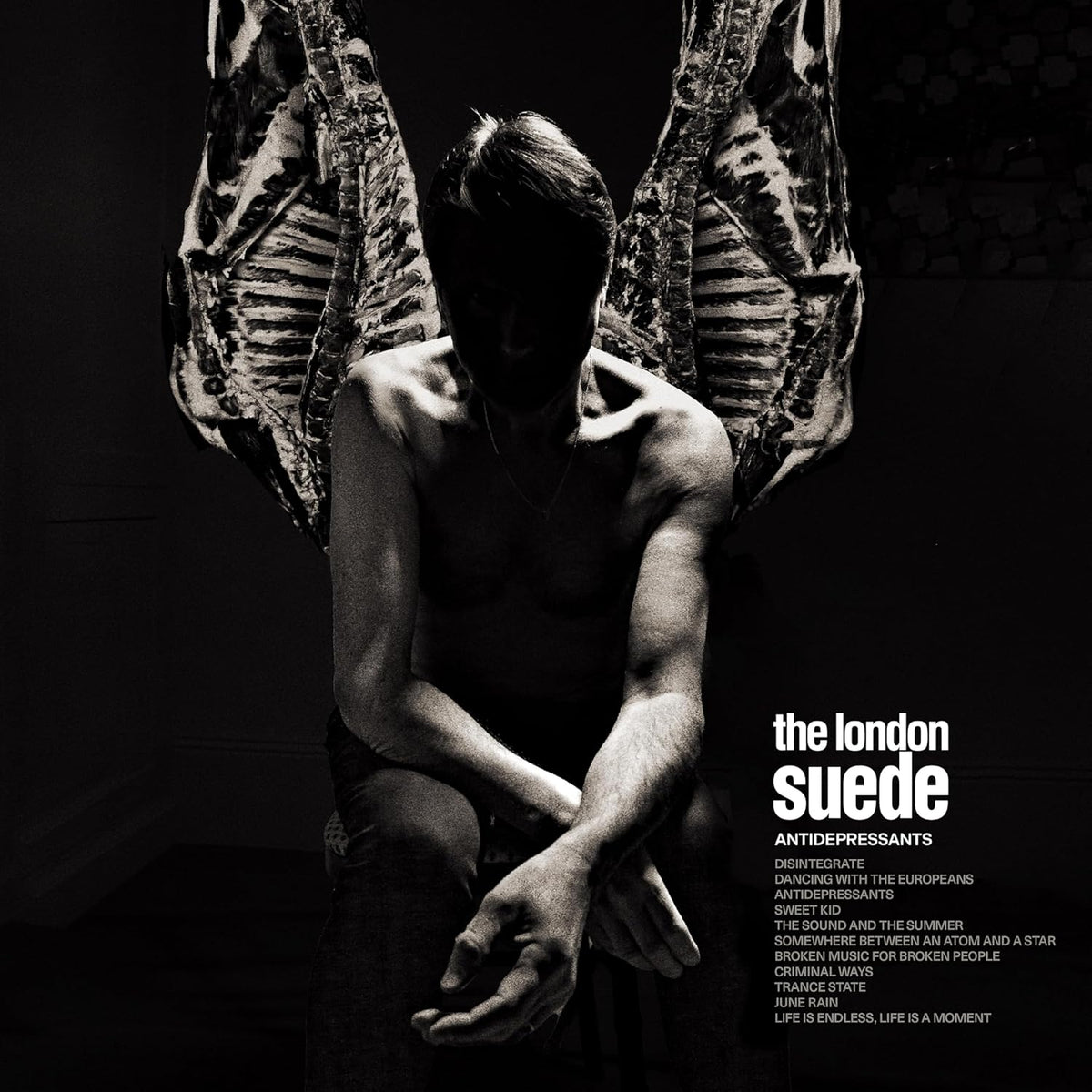 LP - Suede - Antidepressants