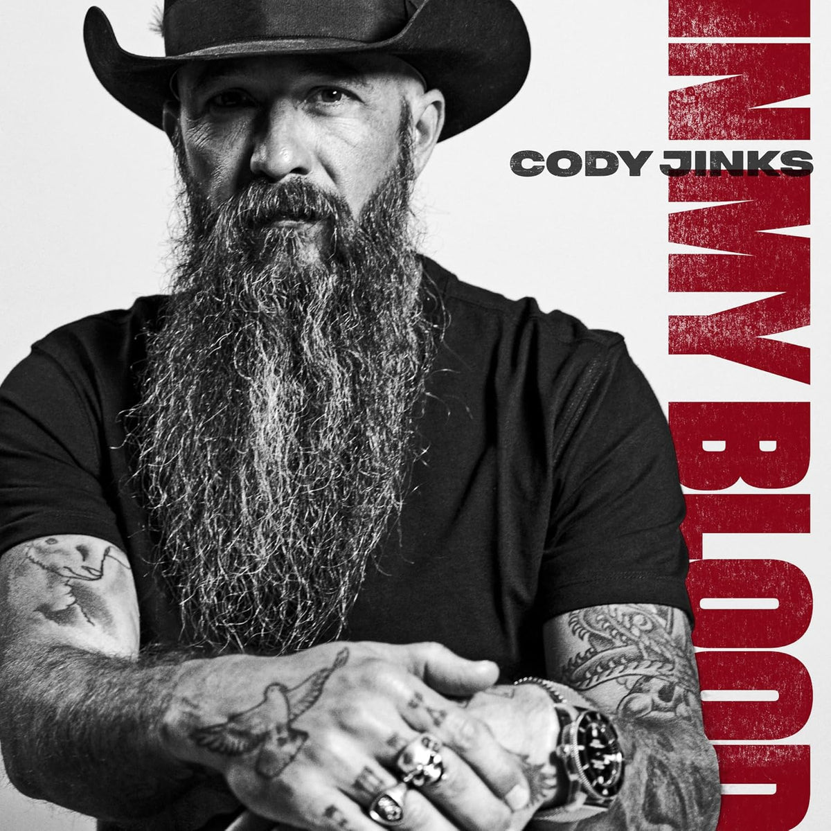 2LP - Cody Jinks - In My Blood