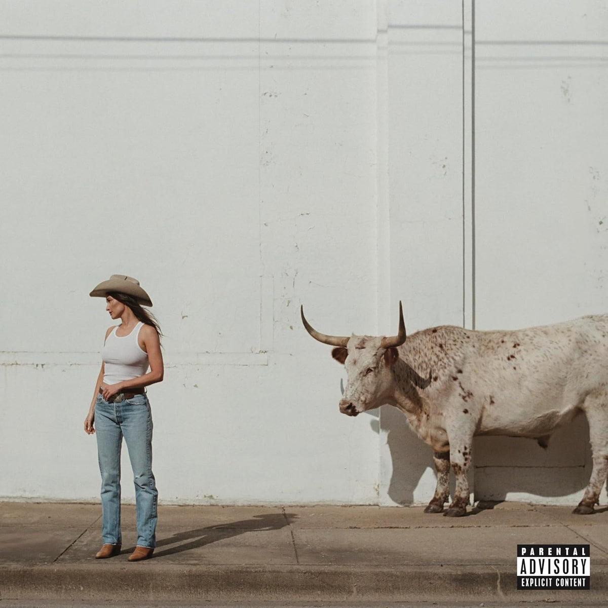 LP - Kacey Musgraves - Middle Of Nowhere