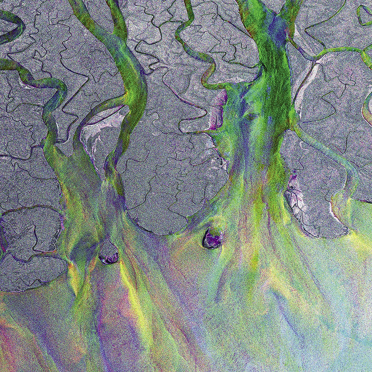LP - Alt-J - An Awesome Wave (SYEOR 2026)