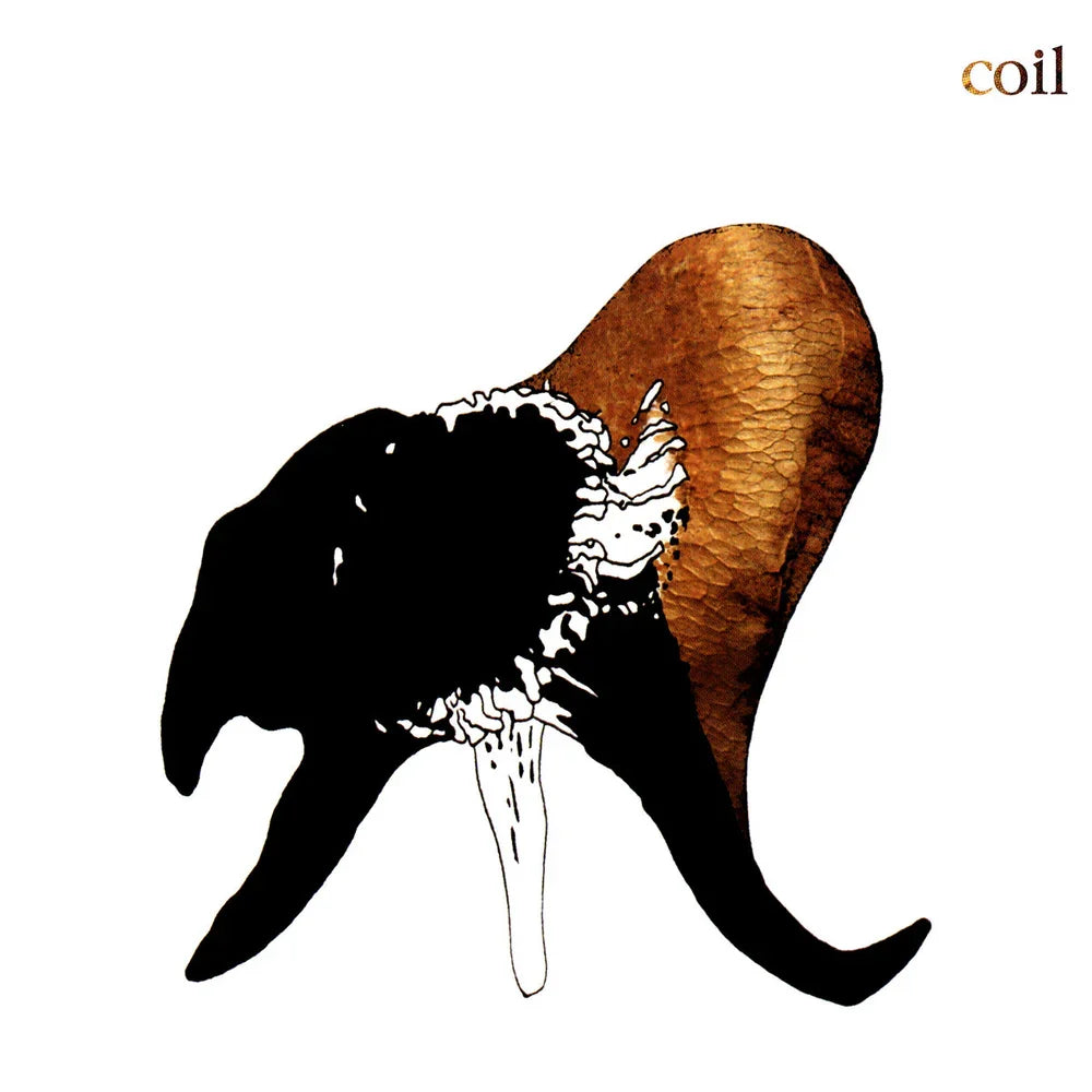 CD - Coil - Black Antlers
