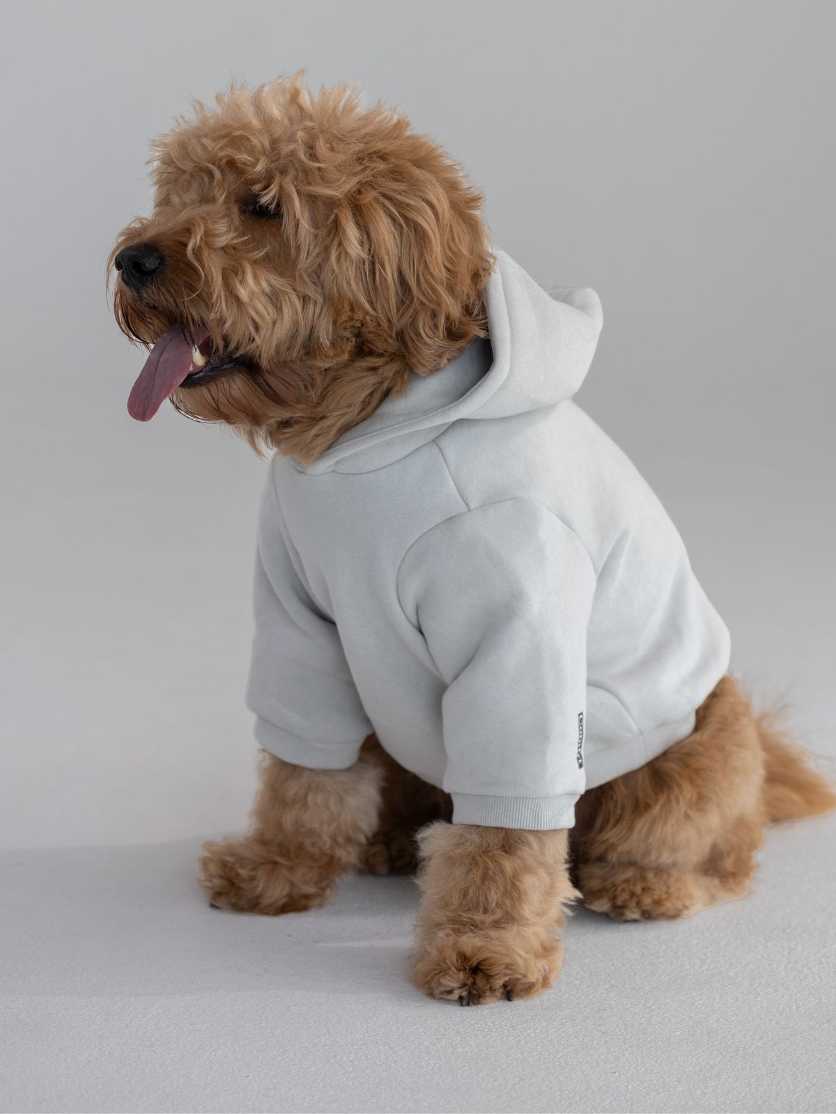Standard Paw Hoodie