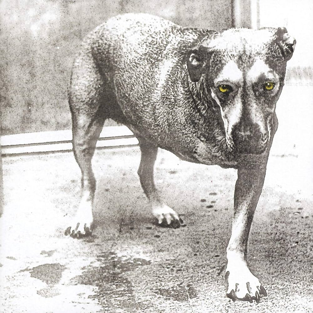 ALICE IN CHAINS - Alice In Chains 30th Anniversary Vinyl