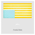Rostam - (PRESALE 7/10/26) American Stories (WHITE Cassette) | Mint (M) Mint (M)